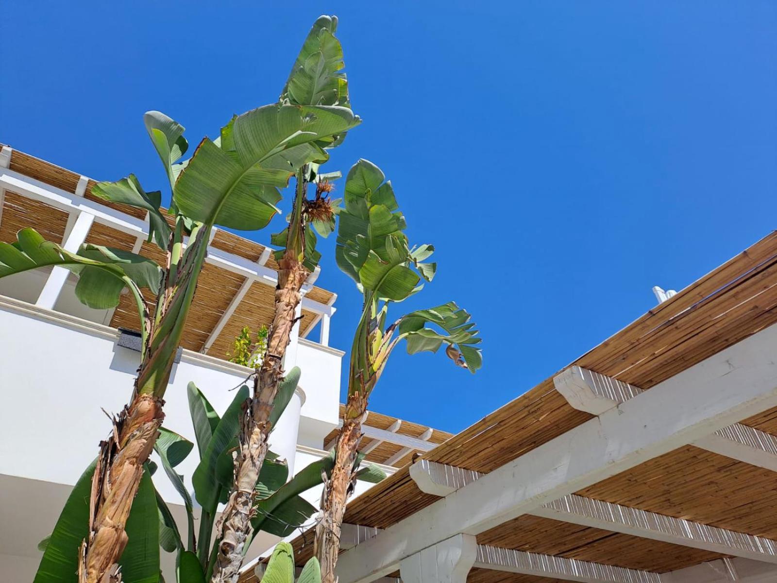 Casa Flora - Bed And Breakfast Торре-Сан-Джованни-Удженто Экстерьер фото